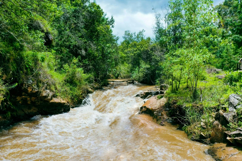 a water rushing in front of rocks and trees