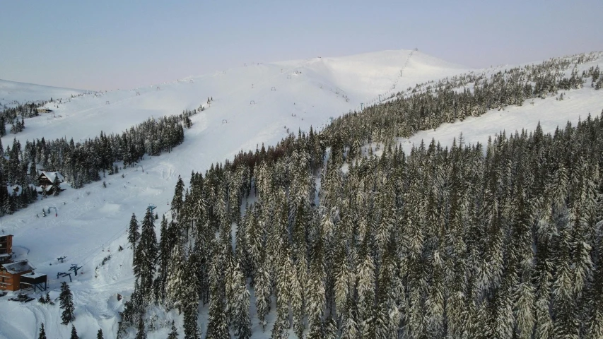 the ski resort is located near many trees