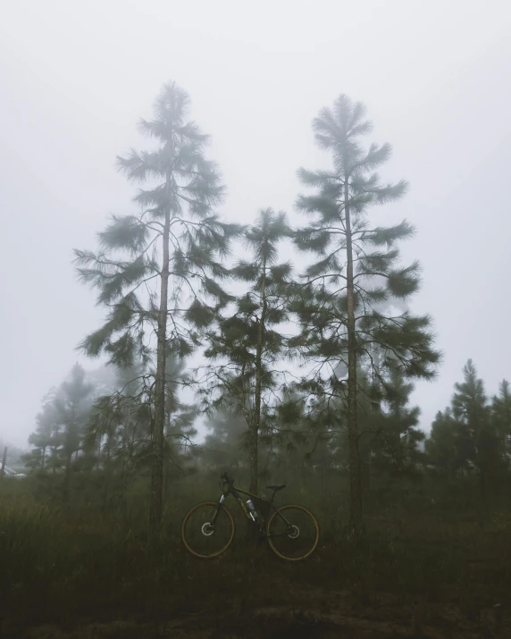 a bicycle sits in the fog in a misty forest