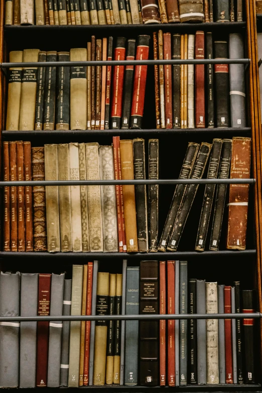 a large shelf filled with lots of books