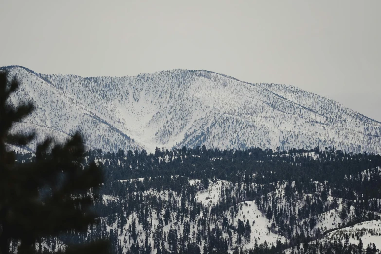 a mountain top covered in snow next to a forest