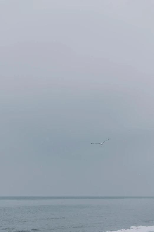 two people in watercraft with a plane overhead