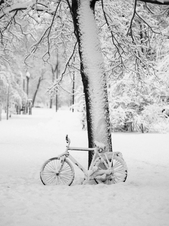 a bicycle parked next to a tree on a snow covered field