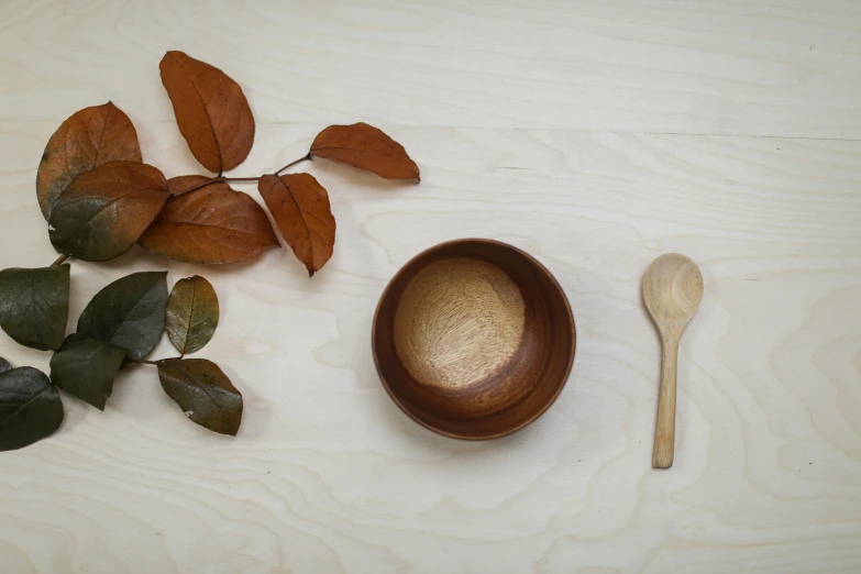 a bowl that has some leaves near it