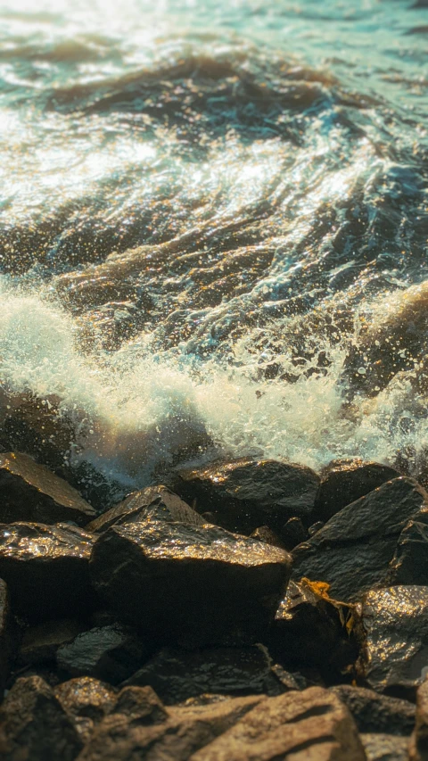 a bird is on the rocks near the water