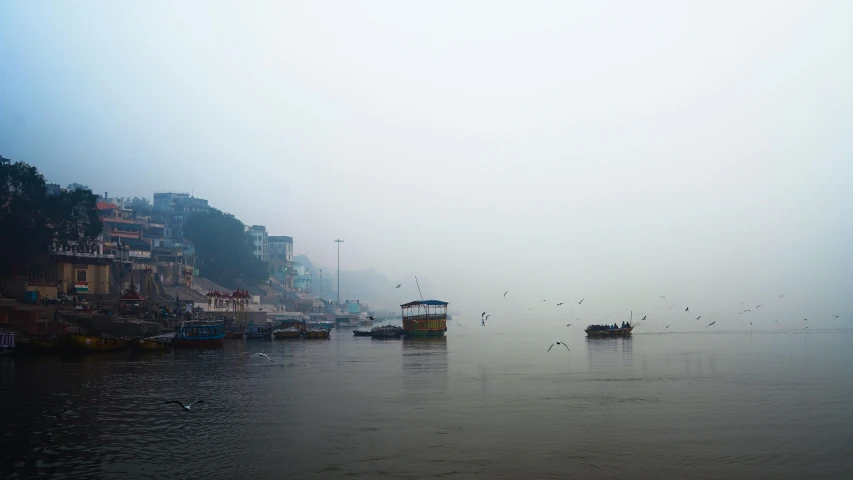 boats sit on the water with buildings and seagulls in the distance