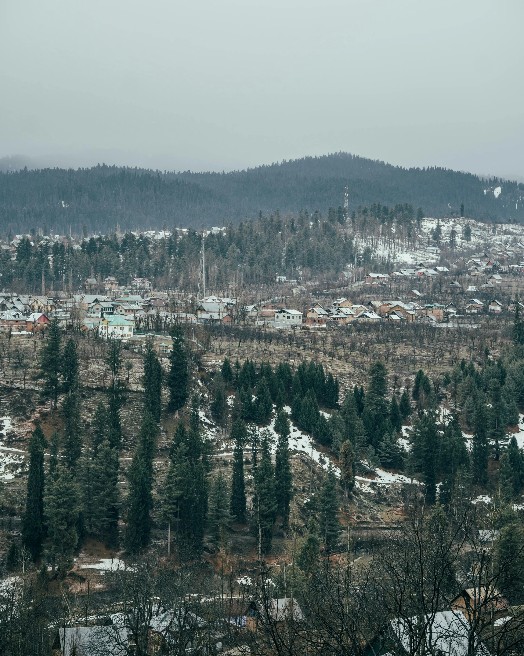 a large mountain covered in trees on top of a snow covered hillside