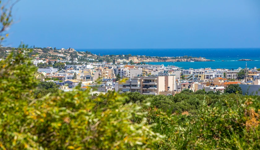 the cityscape of the ocean is shown through greenery