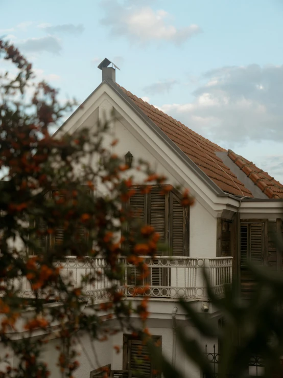 a bird is perched on the top of a house