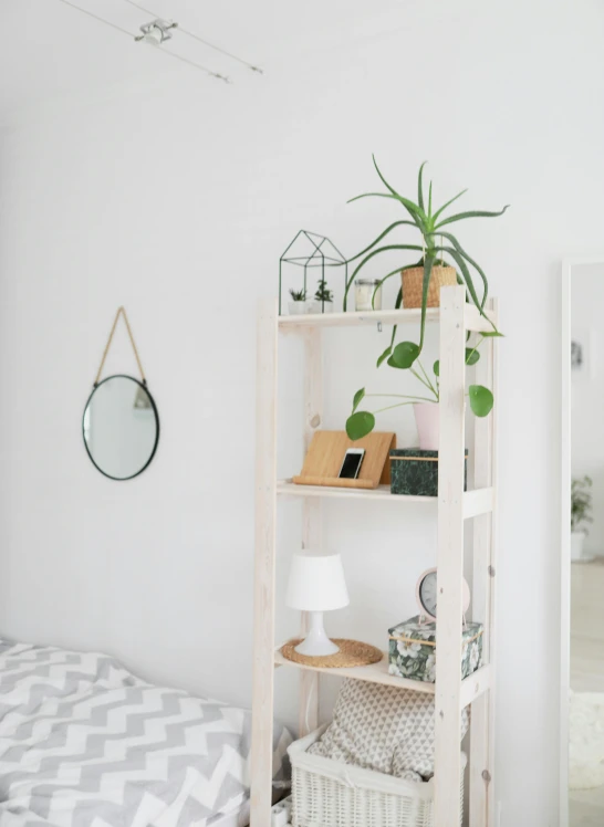a shelf with some plants next to a bed