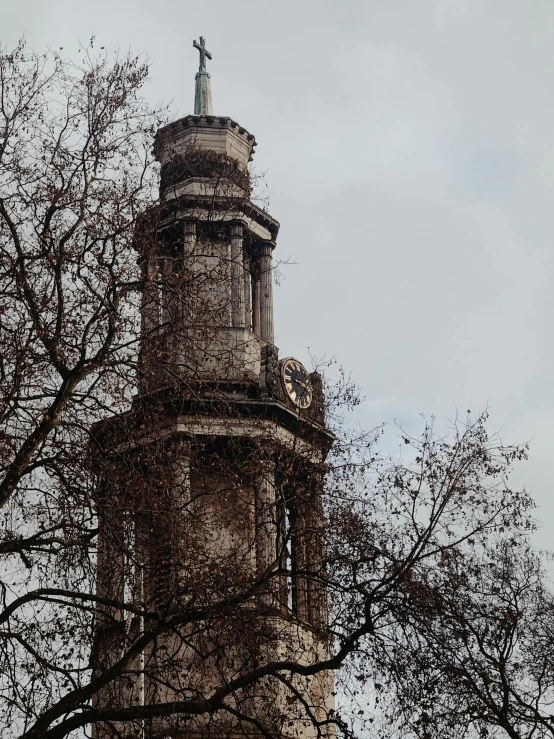 the tower of a church surrounded by trees and tall nches