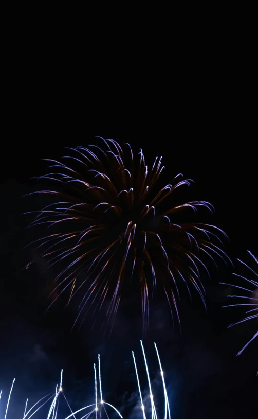 a firework display is shown during the night sky