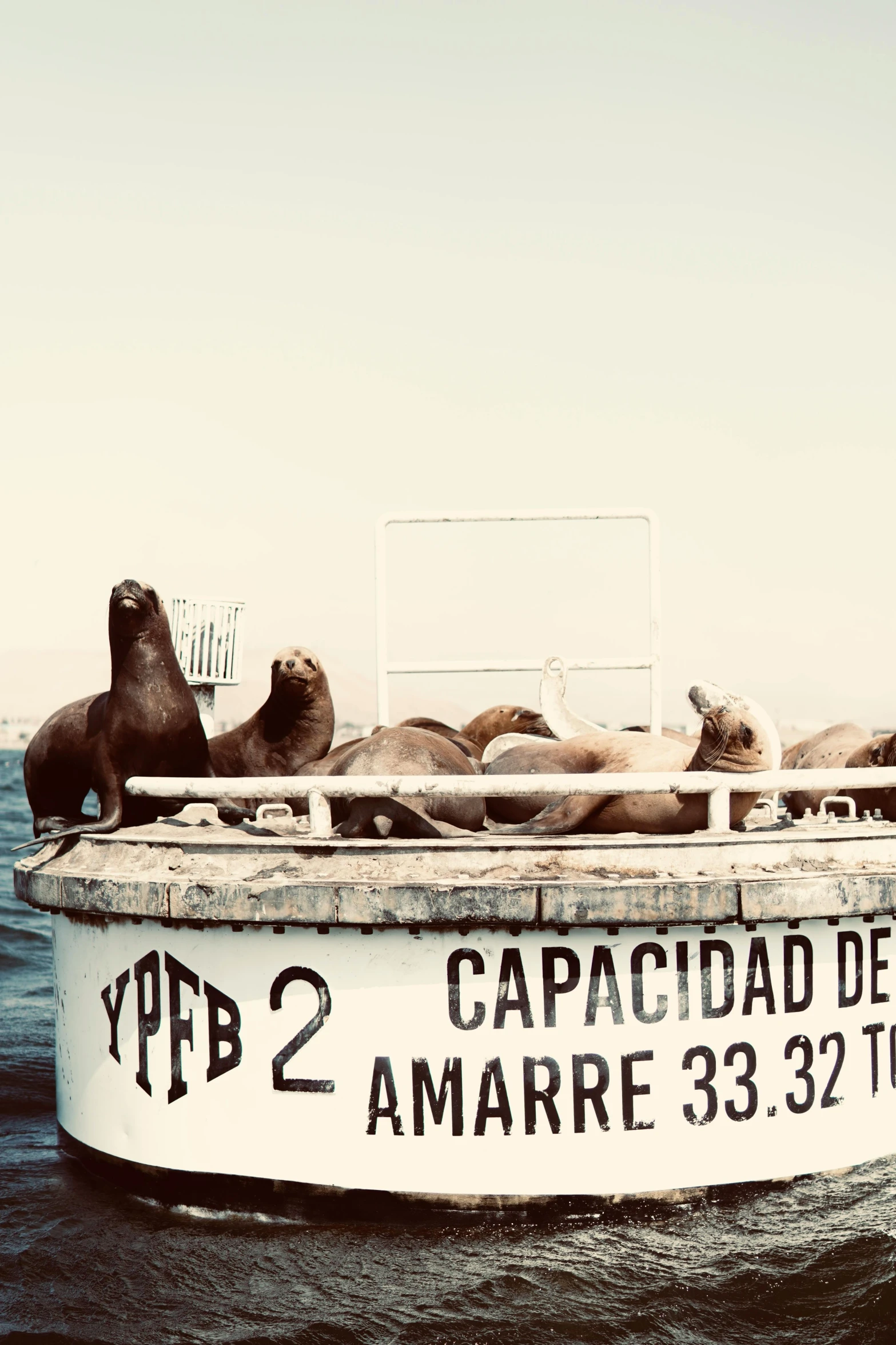 a sign on the side of a building with sea lions laying around it