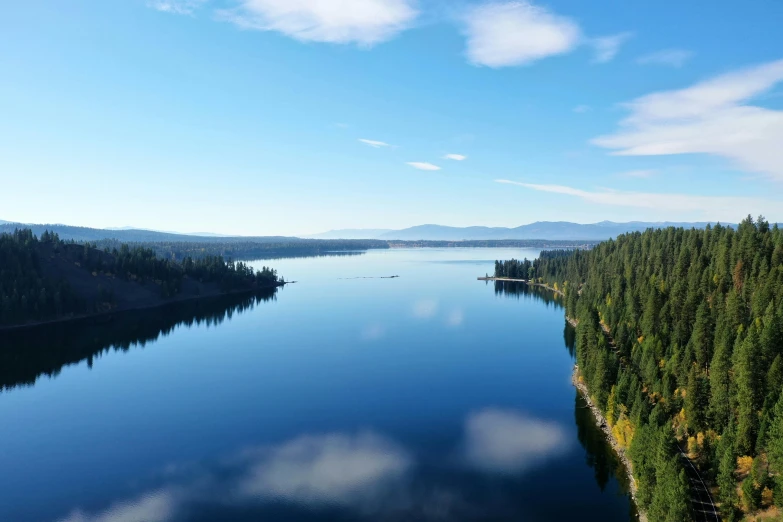 aerial po of calm water surrounded by forested trees