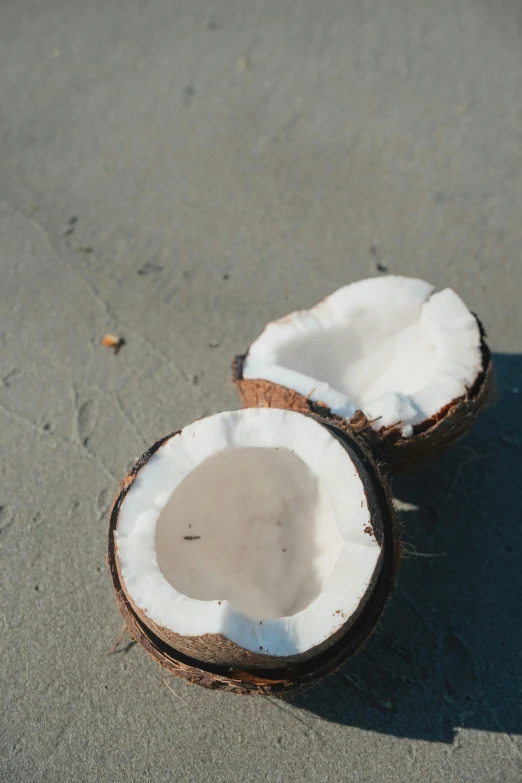 two halves of coconuts sit next to each other on the beach