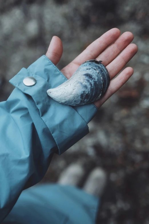 a person holding up a seashell with two hands