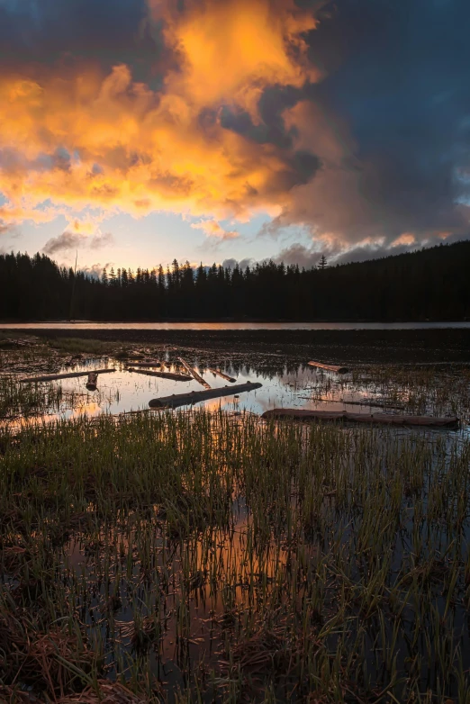 the sunset over the swamp and water is very beautiful