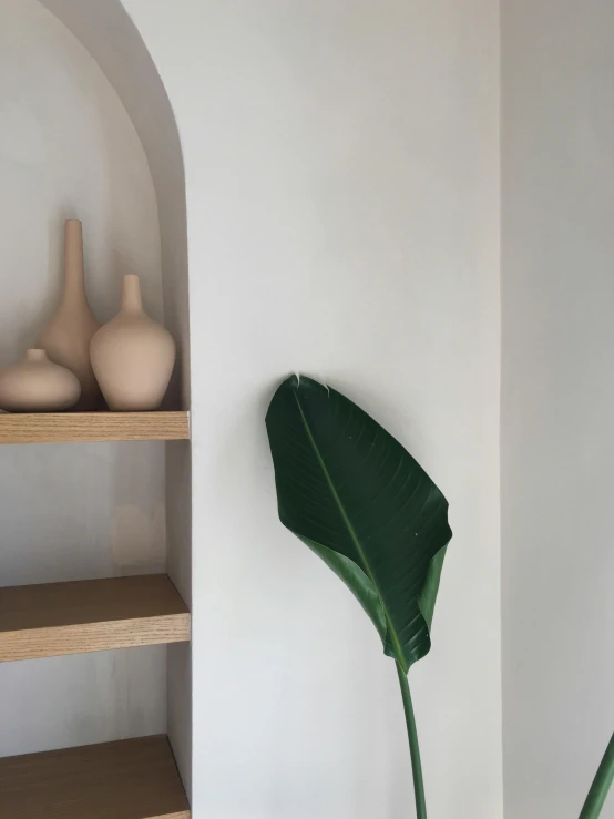 a large green leaf sitting in the middle of a room