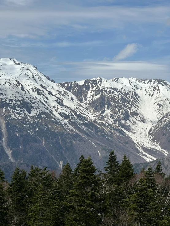 mountains are covered with snow in this snowy forest