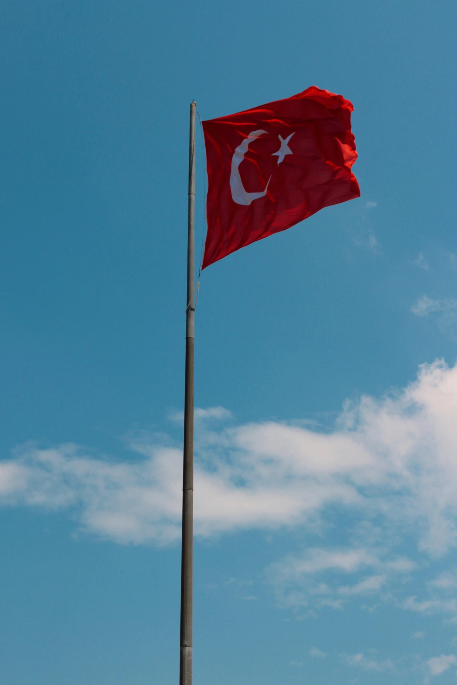 the flag of turkey flies in the wind