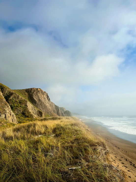 the large sandy shore line next to the ocean