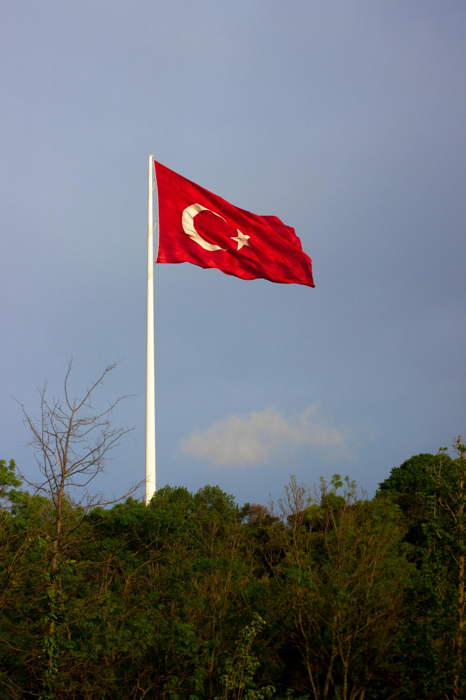 an turkish flag flies in front of trees