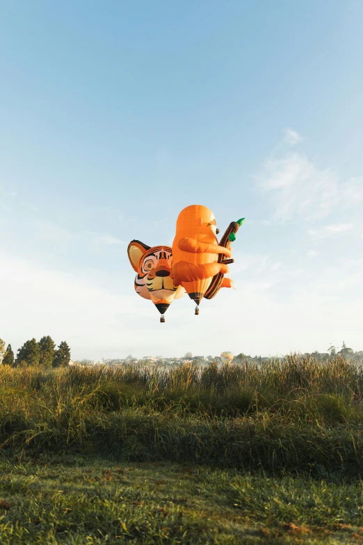 an orange fish balloon flying over a green field