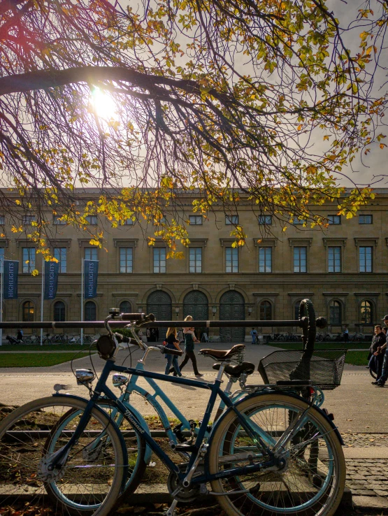 two blue bicycles parked near a building with a large tree