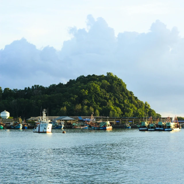 several boats anchored in a large body of water