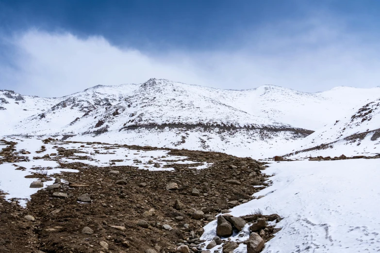 a lone cow on snow covered rocks near mountains