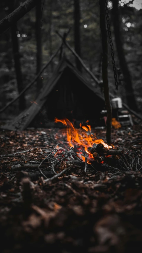 a camping fire in the woods on a dark autumn night