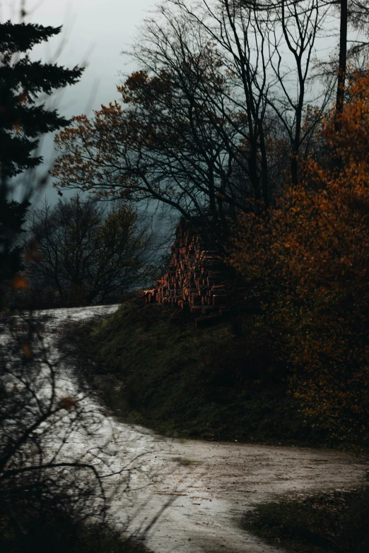 an old dirt road with trees and shrubs near the edge