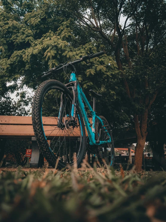 a mountain bike is parked on the grass