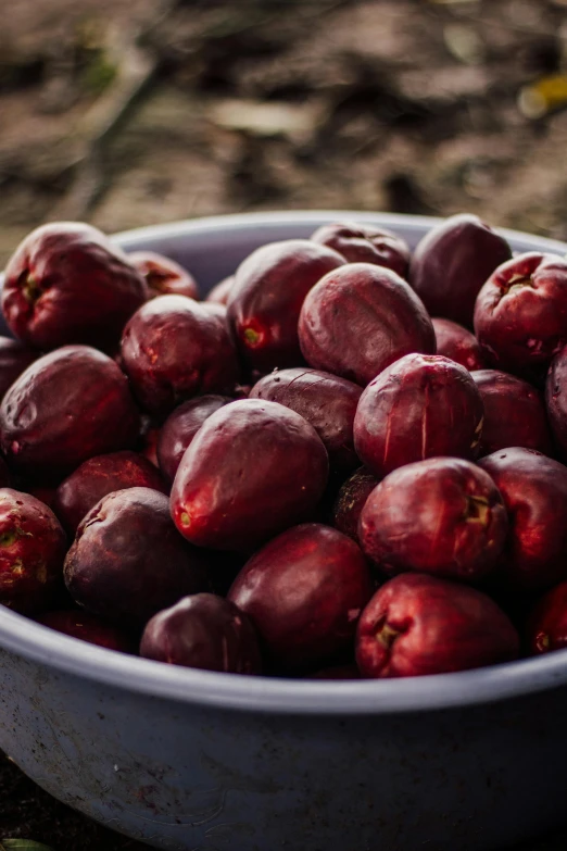 a white bowl filled with plums on top of a tree