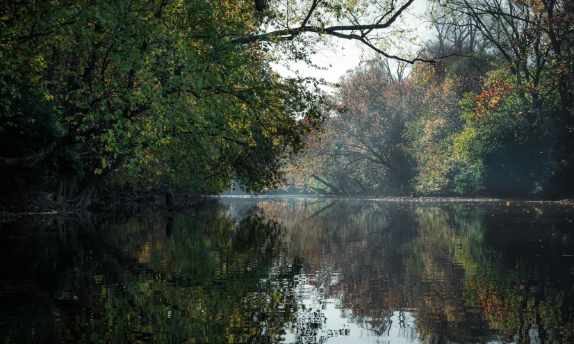 a body of water with trees in the background