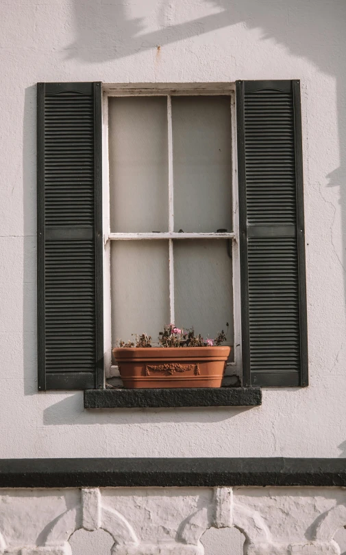 a potted plant that is sitting in a window