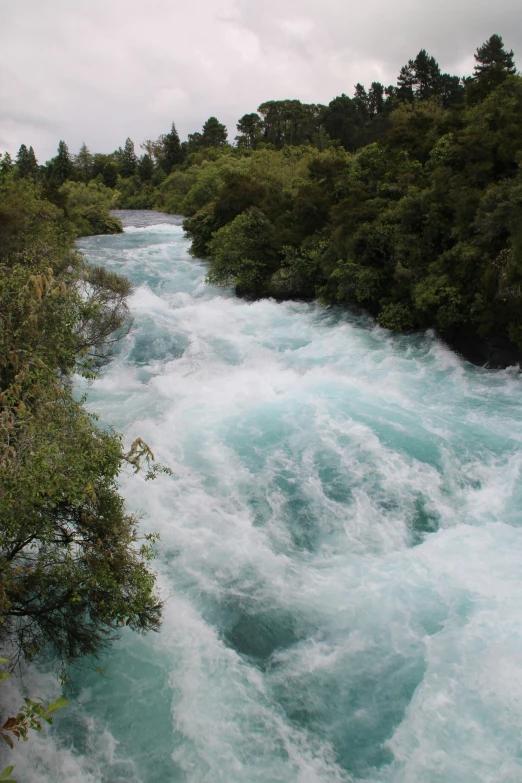 blue waves flowing through the jungle in the day