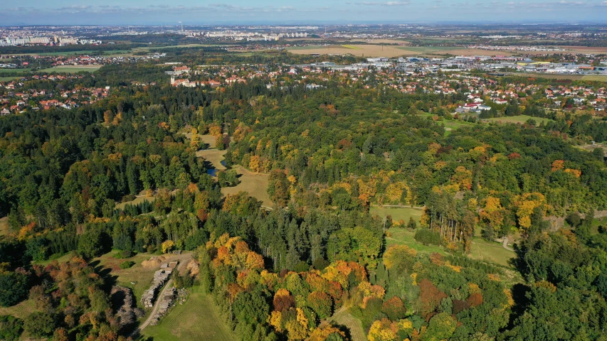 an aerial view of a small town surrounded by trees