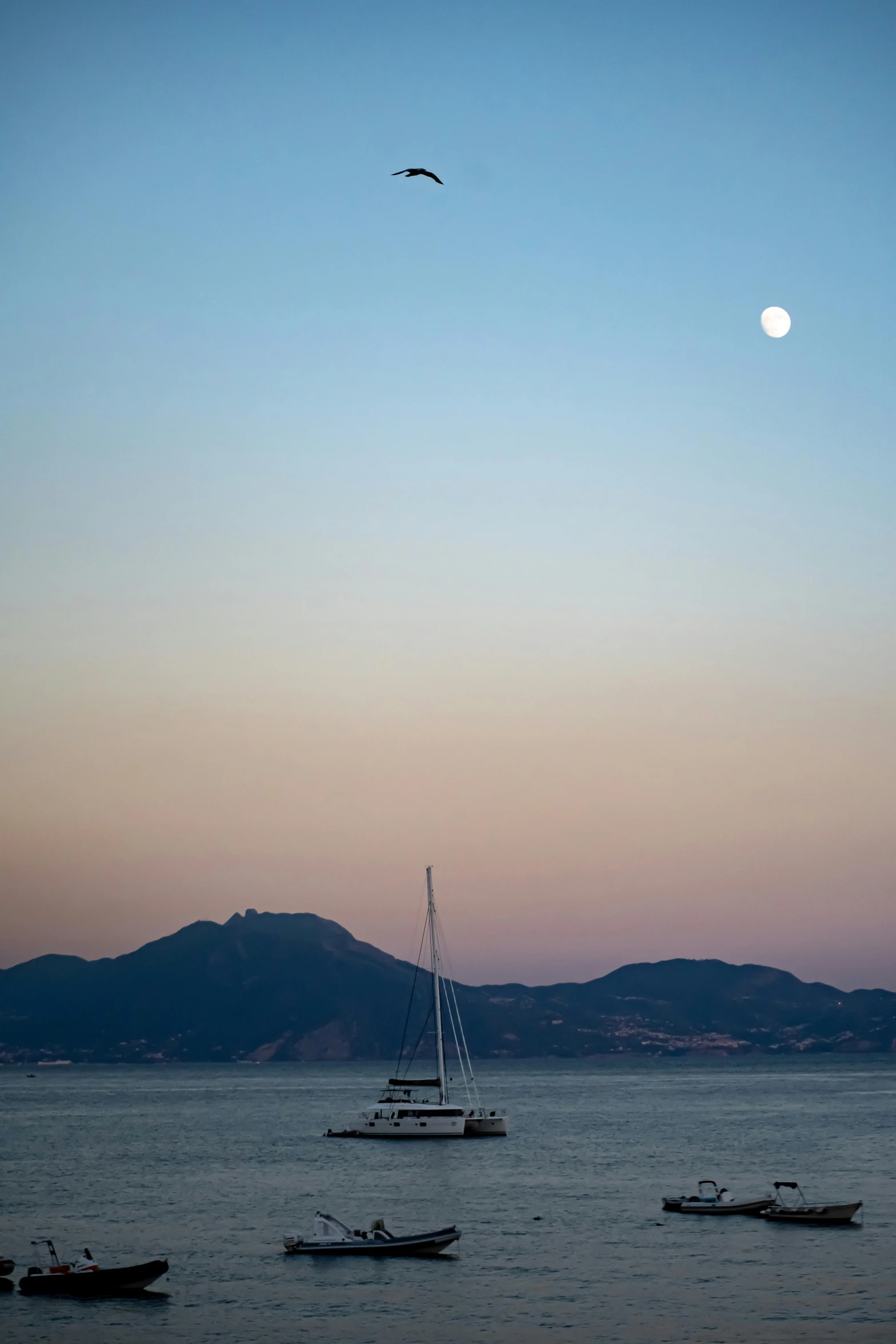 sailboats are sitting on the water near shore