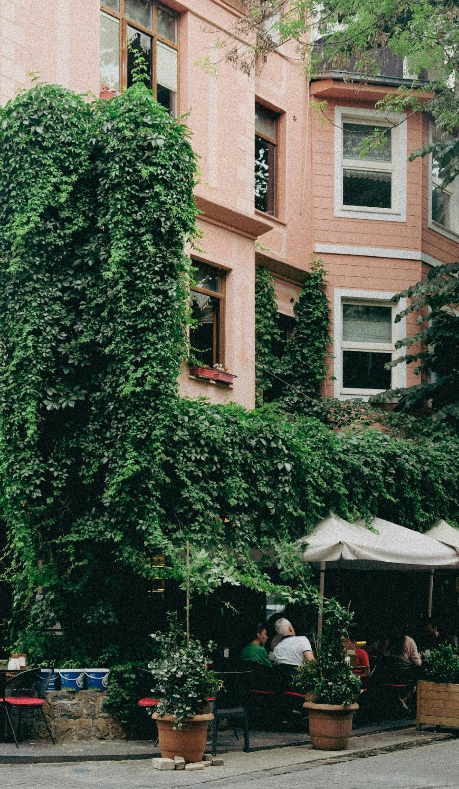 people are sitting under green plants and umbrellas