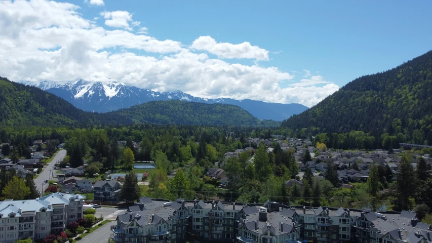 there are two houses in the woods and a town below