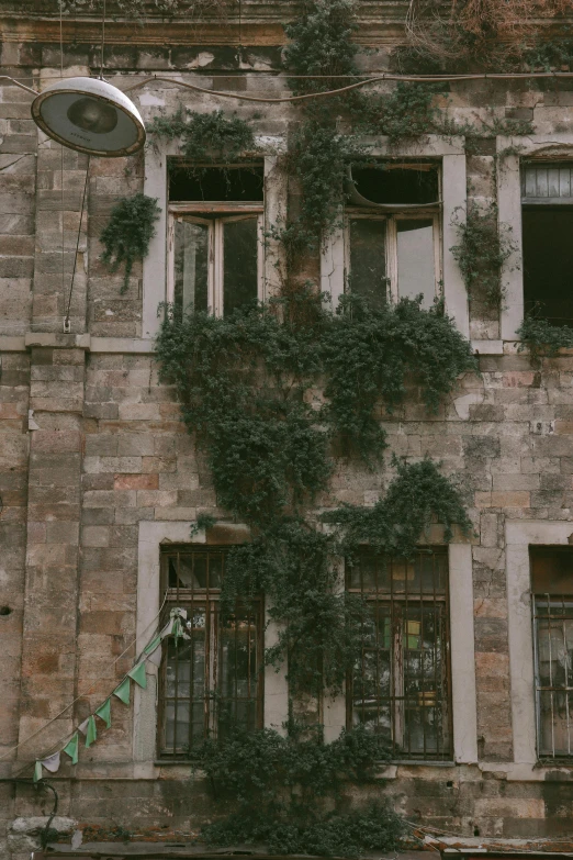 a building has ivy growing on the side