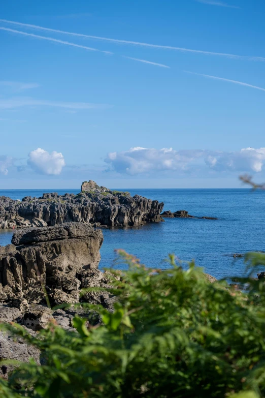 the ocean is blue with some green plants in front of it