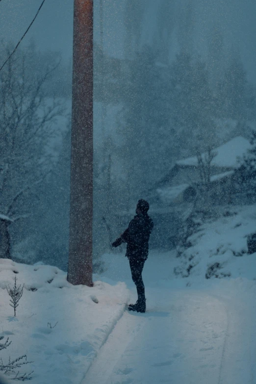 a woman standing at a light on a snowy road