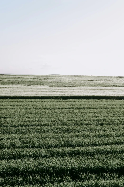 black and white pograph of a large open grassy field