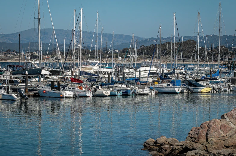 boats are docked on a calm, sunny day