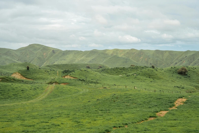 mountains are in the background with green grass on each side