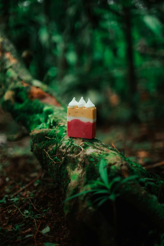 small, colorful object is sitting on the log