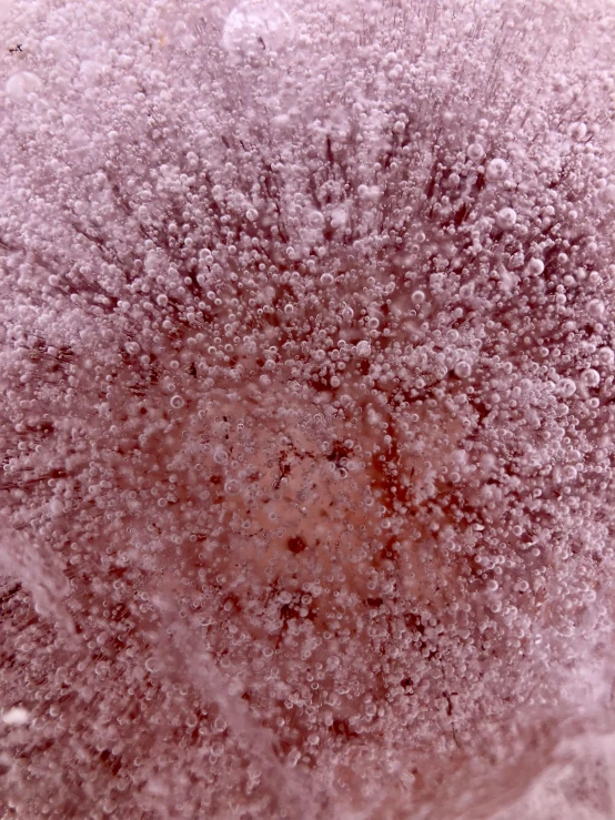 an image of a frosty surface that looks like soing