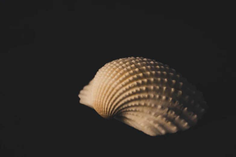 an orange colored object on a black background